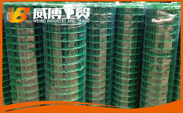 荷蘭網(wǎng)